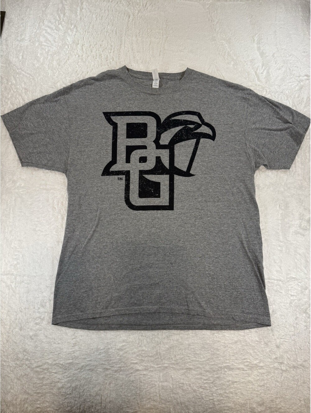 Bowling Green St Falcons BGSU Tee Shirt Men’s L Gray  Jerzees Dri-power A1 08